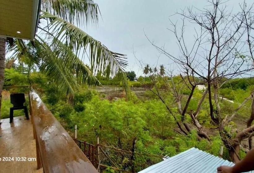 Cămin Olango Transient   Riverview