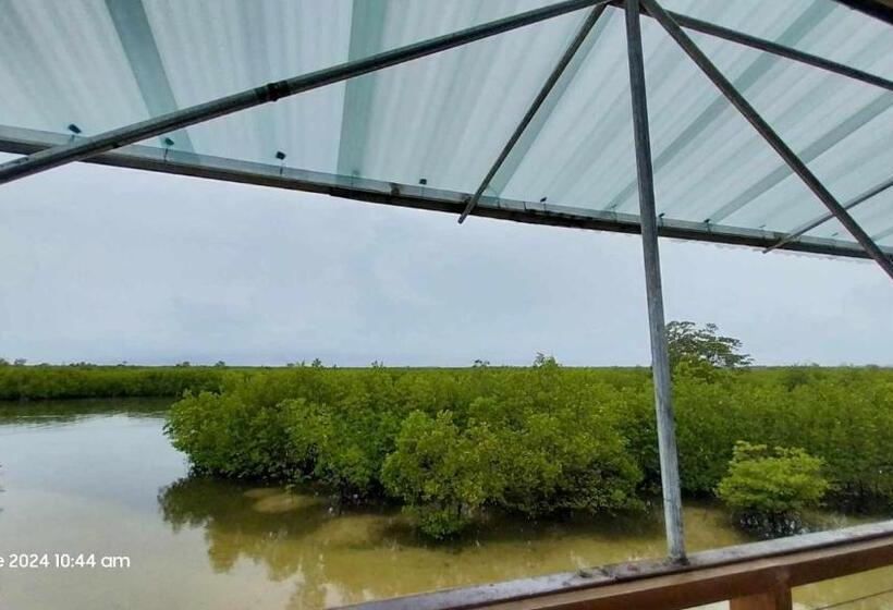 Cămin Olango Transient   Riverview