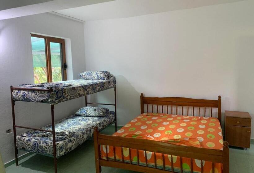 Bar Restorant Hotel   Oroshi 2