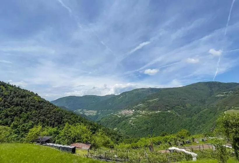 ホテル Agriturismo Mirtilla