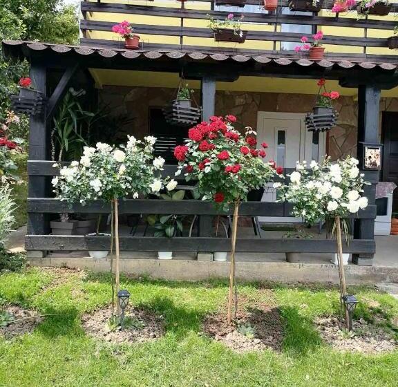 پانسیون Guesthouse Djuro