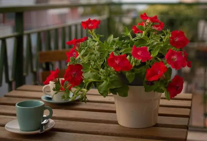 Majatalo La Casa Di Mest Pepp