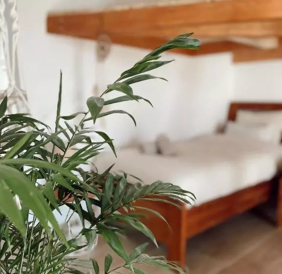 استراحتگاه Surf & Yoga Retreats Fuerteventura