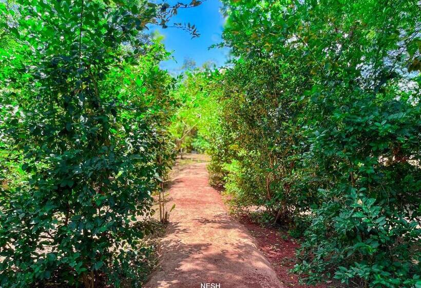 Tantor Resort Habarana