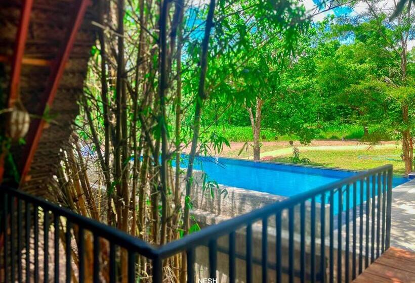 Tantor Resort Habarana