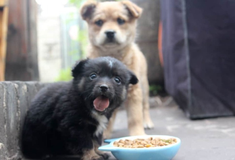 فندق صغير City Wall Old House.ji Residence