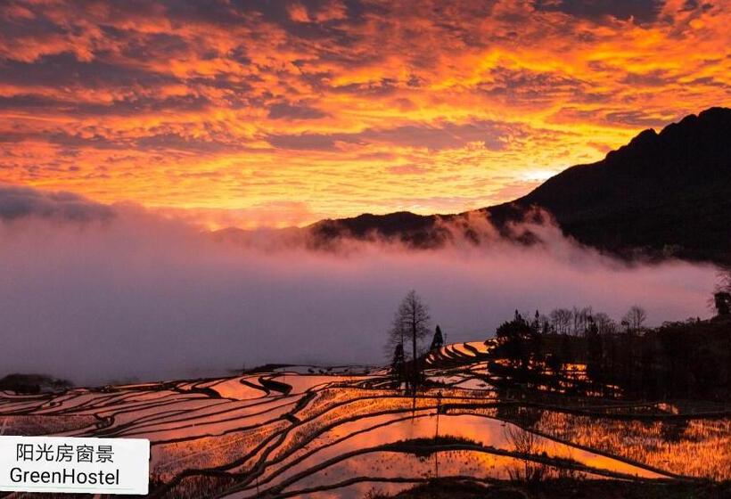 مبيت وإفطار Green Hostel & Sunny Guesthouse