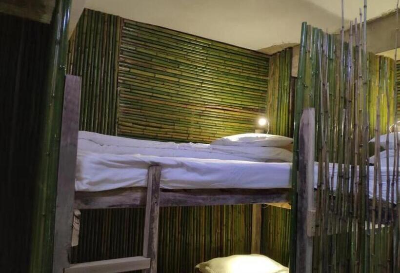 مبيت وإفطار Green Hostel & Sunny Guesthouse