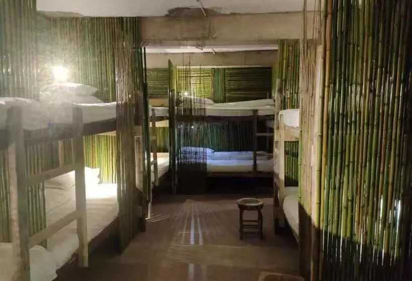 ベッドアンドブレックファースト Green Hostel & Sunny Guesthouse