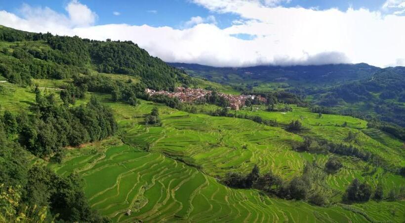 مبيت وإفطار Green Hostel & Sunny Guesthouse