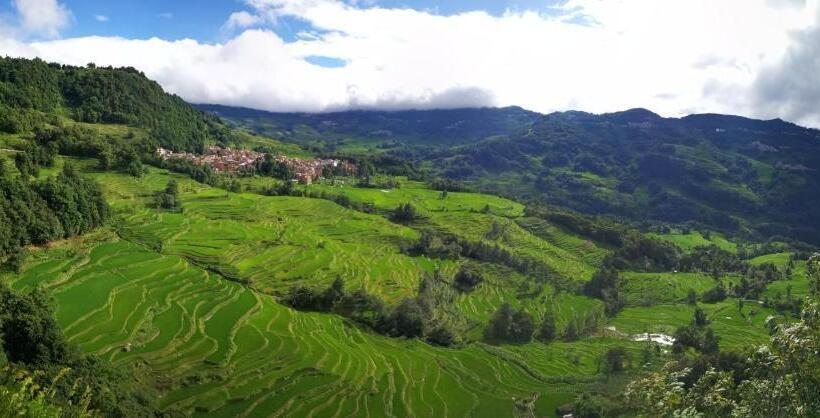 Bed and Breakfast Green Hostel & Sunny Guesthouse