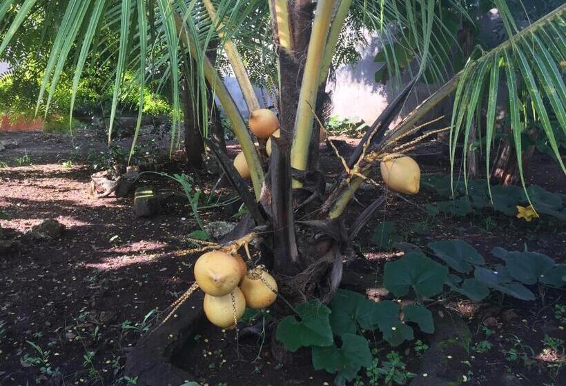 تختخواب و صبحانه Mwana House