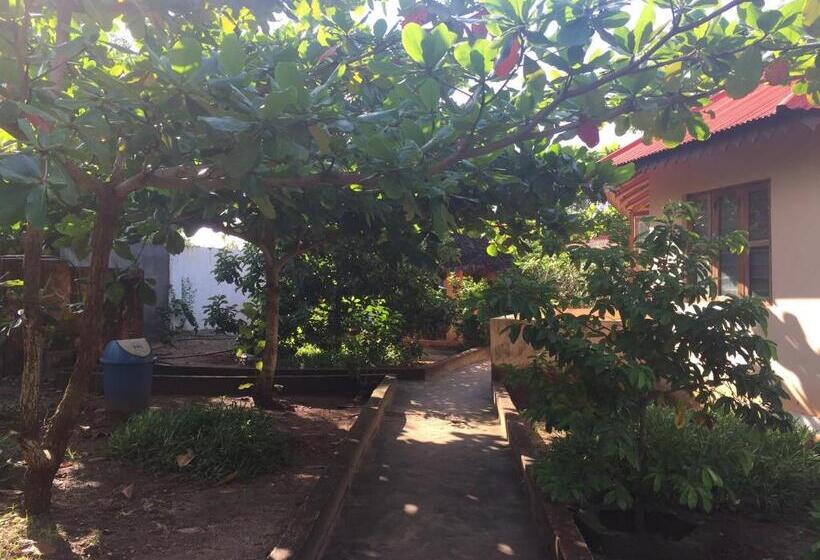 تختخواب و صبحانه Mwana House