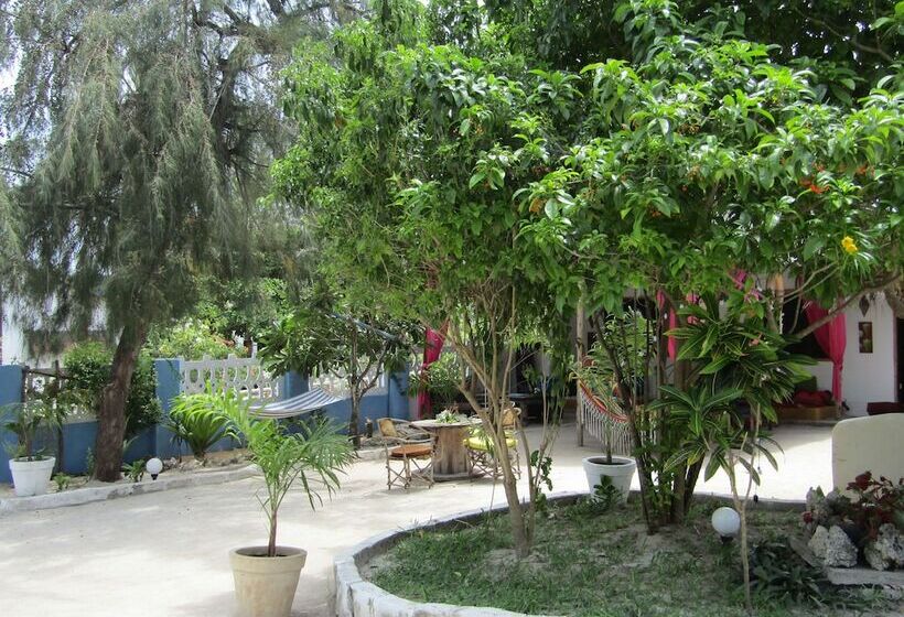 Bed and Breakfast Paje Villa Lounge