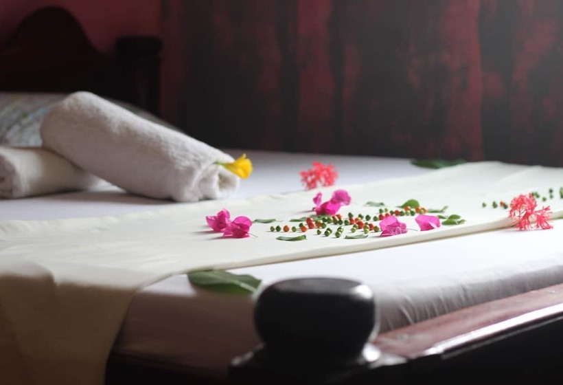 Bed and Breakfast Paje Villa Lounge