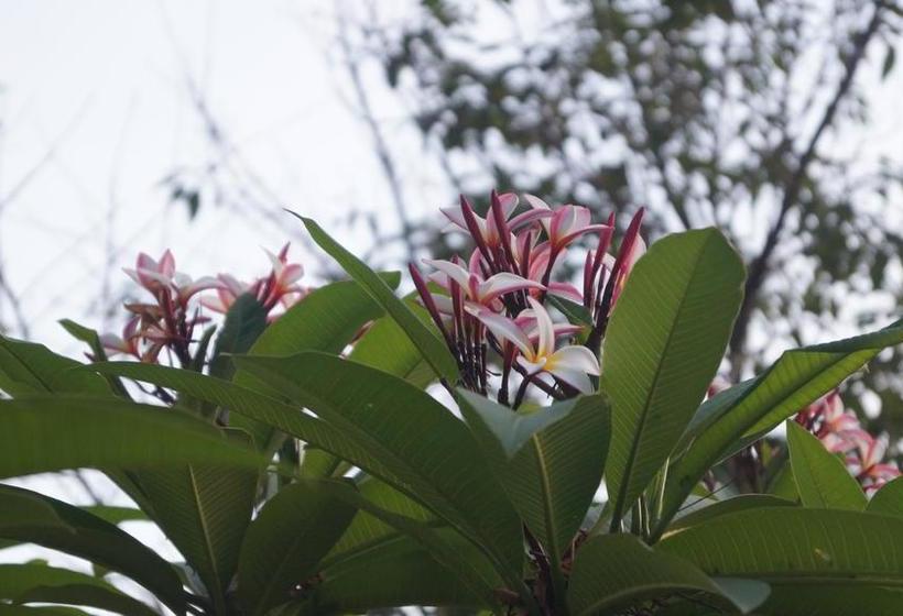 هتل Aythaya Monte Divino Lodge