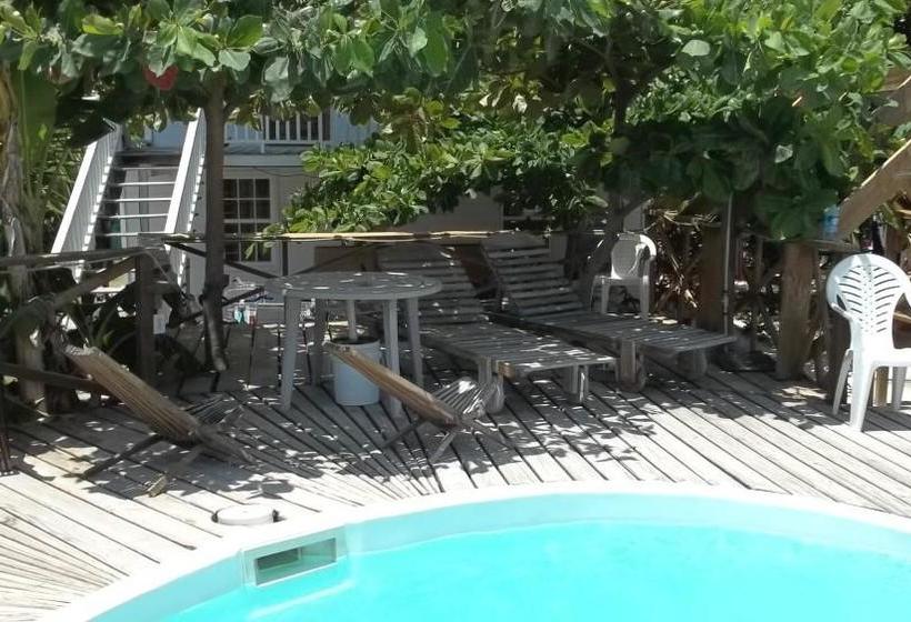 Pedro S Inn Backpackers Hostel