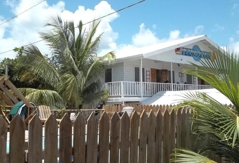 Pedro S Inn Backpackers Hostel