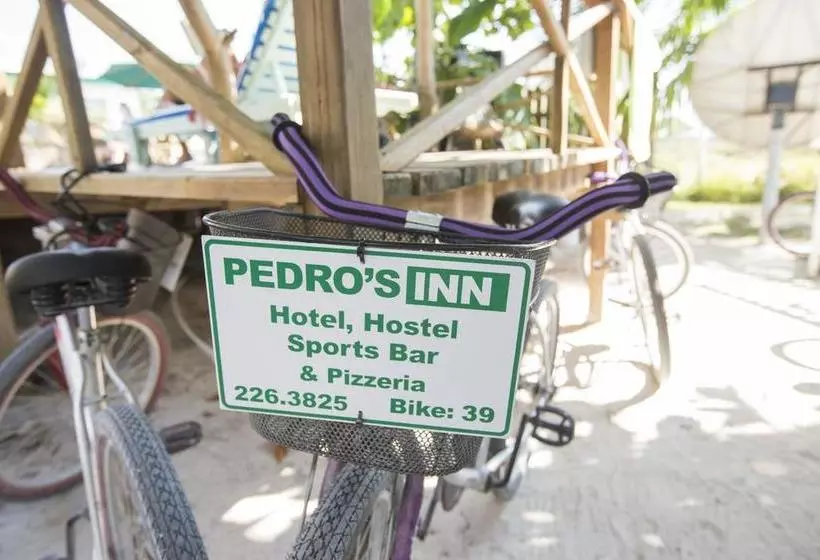 Pedro S Inn Backpackers Hostel