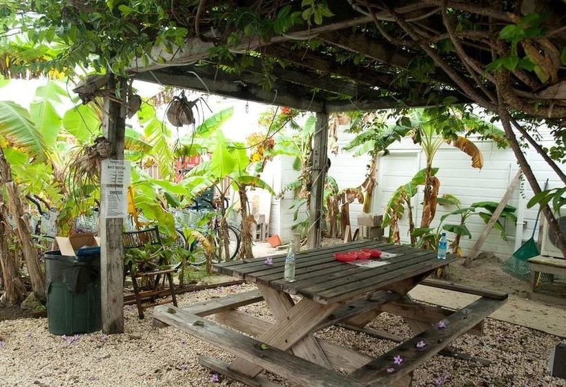 Pedro S Inn Backpackers Hostel