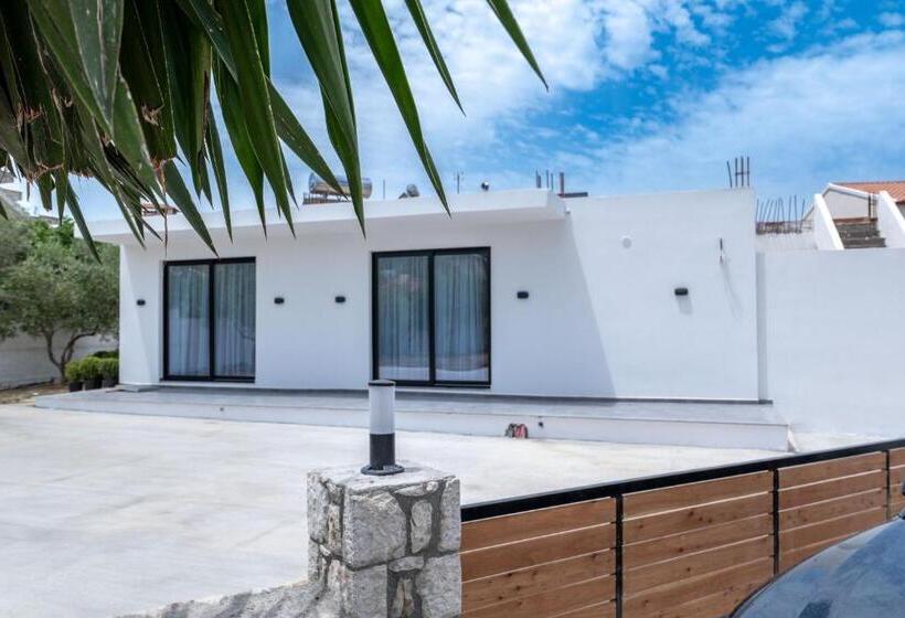 Отель Aboja Inn