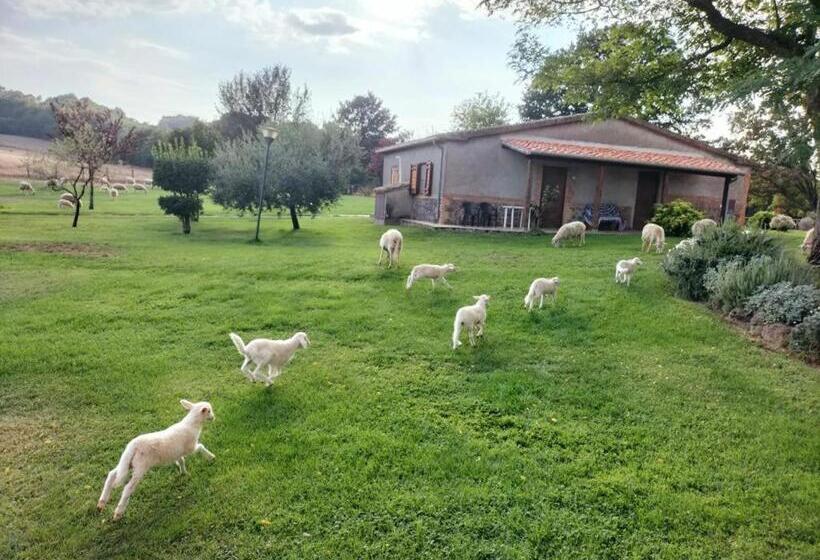 Отель Frà Viaco Agriturismo Agrispa