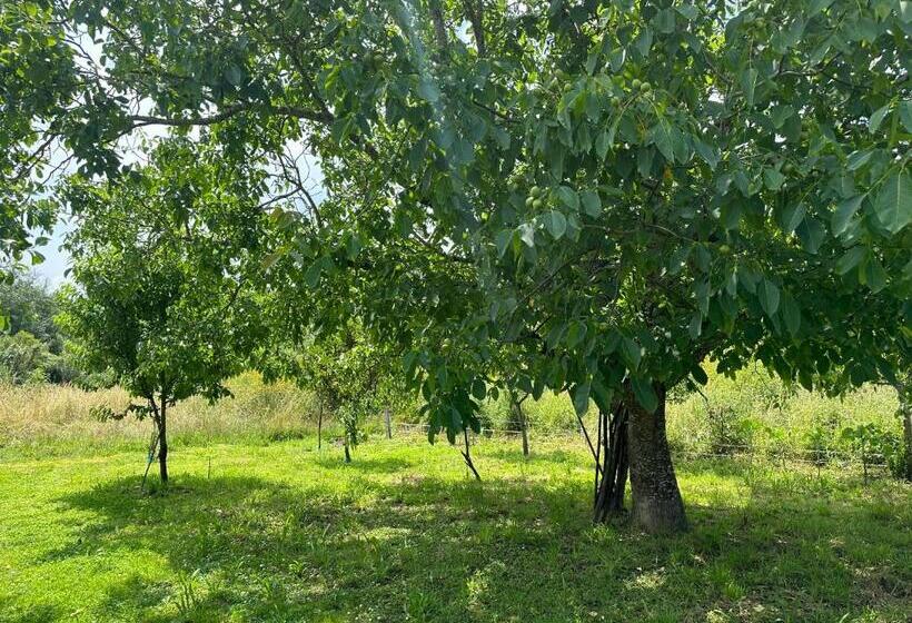 بنسيون Casa Oveja Negra 1