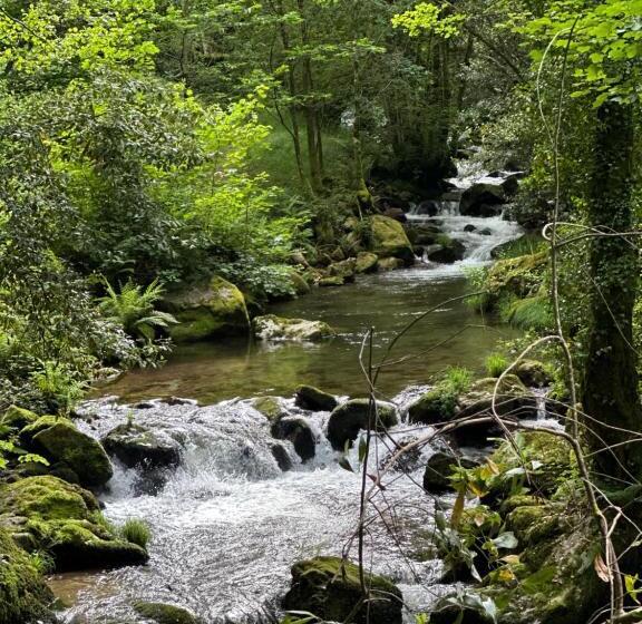 بنسيون Casa Oveja Negra 1