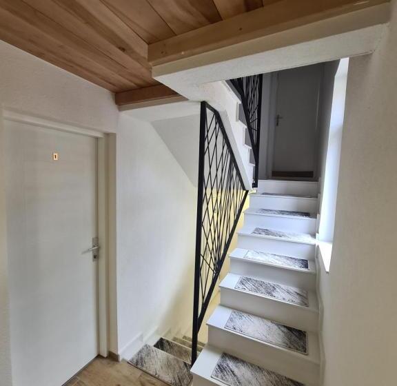 پانسیون No Name