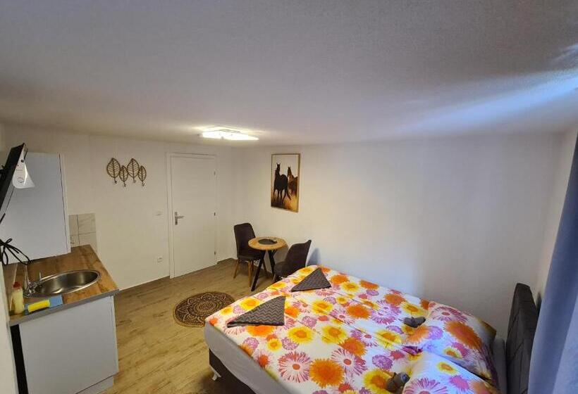 پانسیون No Name