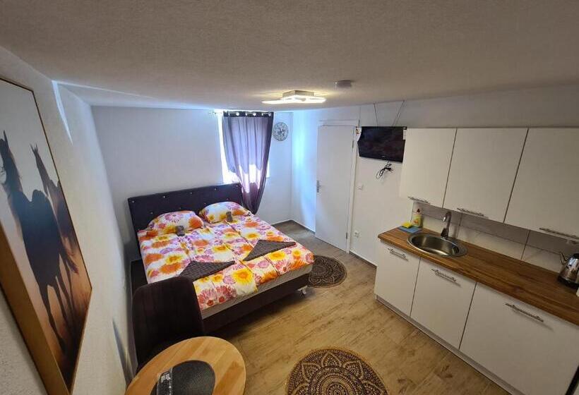 پانسیون No Name