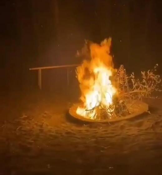 домик в лесу