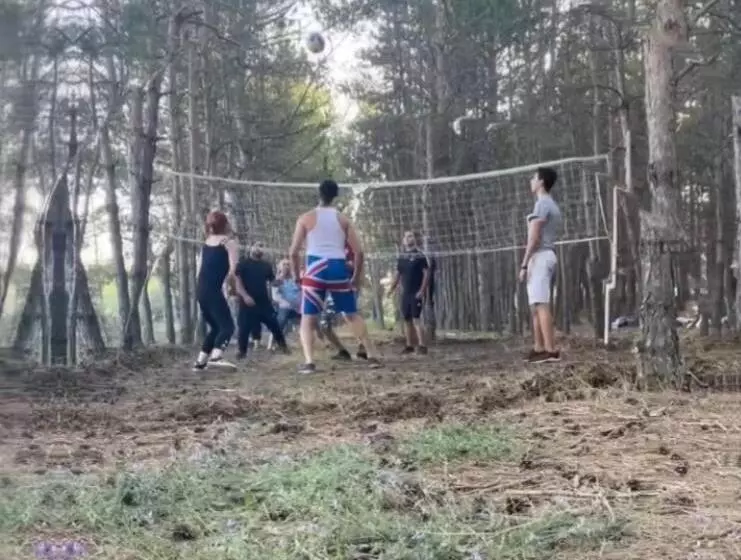 домик в лесу