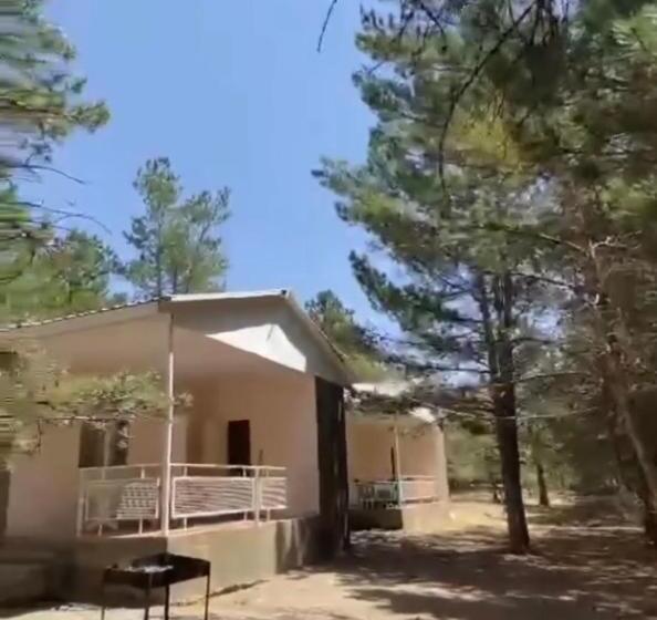 домик в лесу