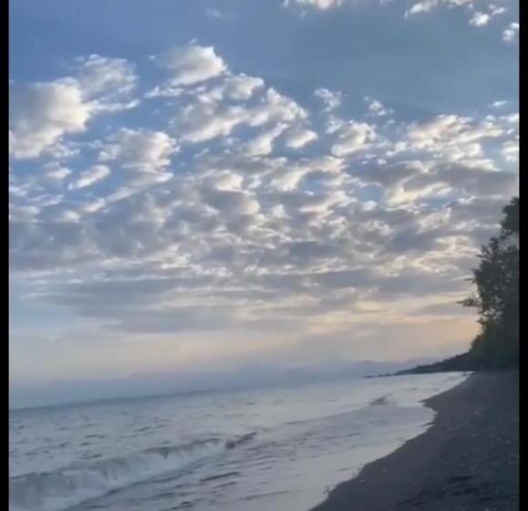 домик в лесу