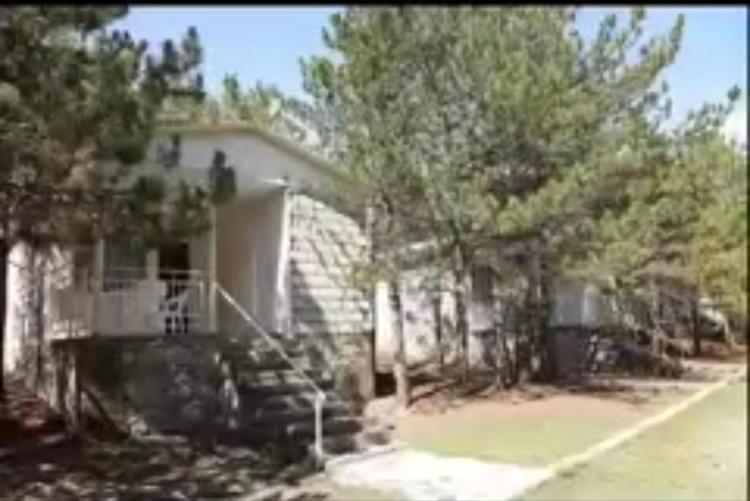 домик в лесу