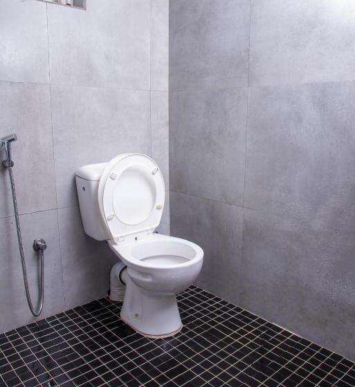 هاستل Rose Palace