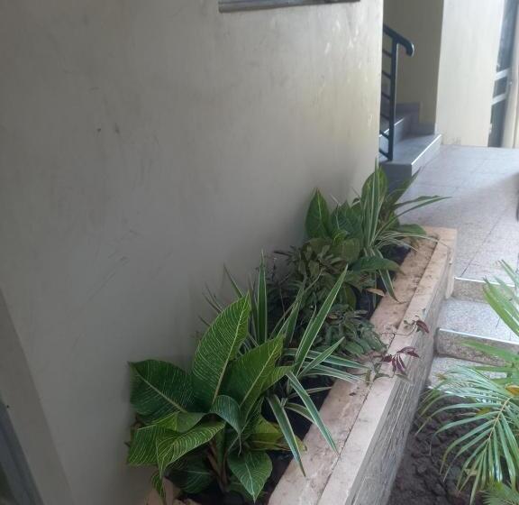 Bed & Breakfast Blue Terrace Residence