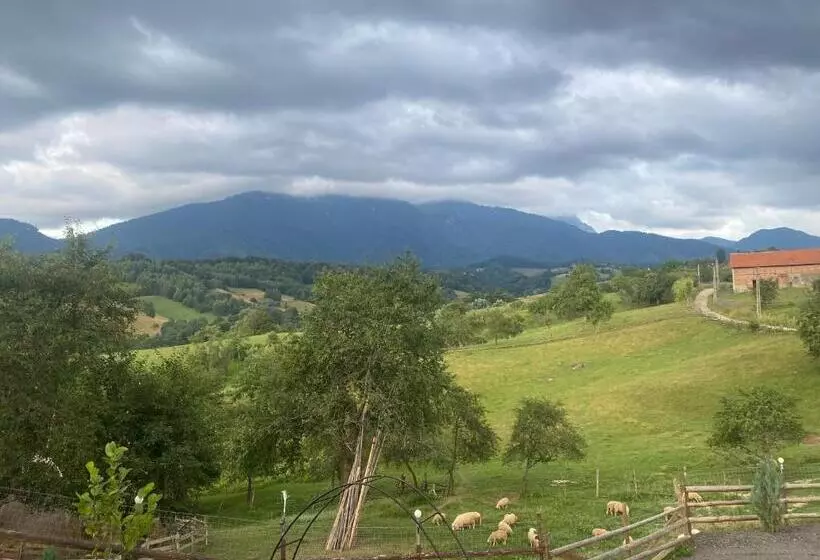 Majatalo Casa Colț De Rai