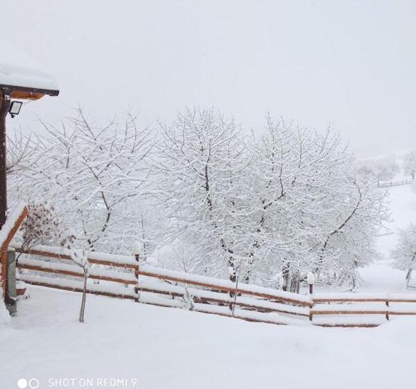 Пансион Casa Colț De Rai