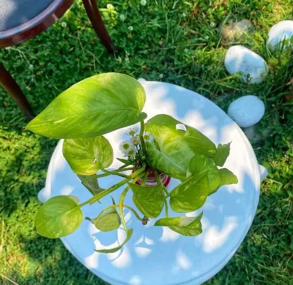 ベッドアンドブレックファースト Canvas And Coffee