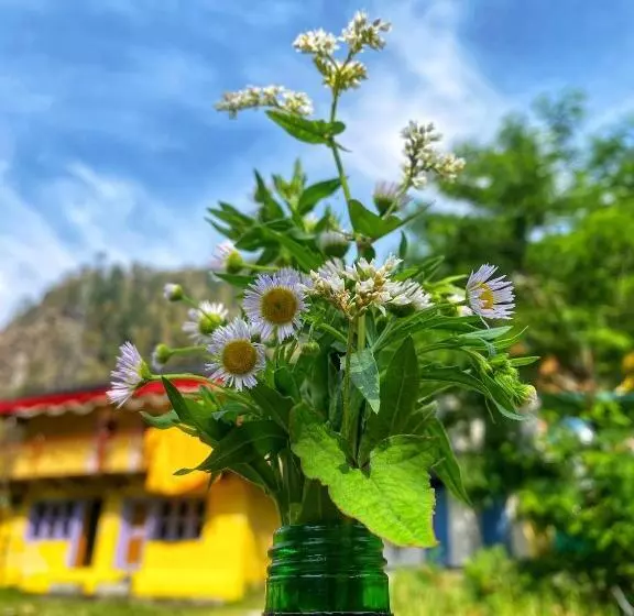 ベッドアンドブレックファースト Canvas And Coffee