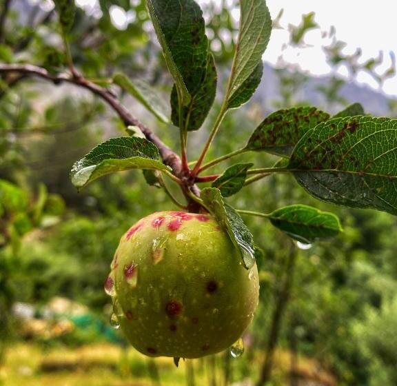 צימר Canvas And Coffee