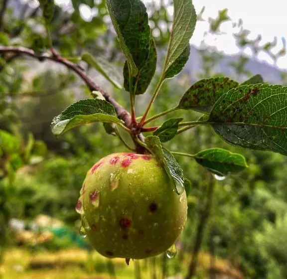 ベッドアンドブレックファースト Canvas And Coffee