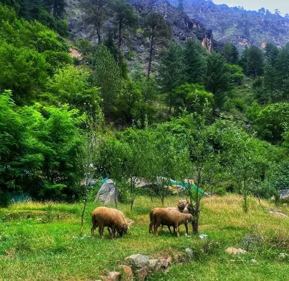 ベッドアンドブレックファースト Canvas And Coffee