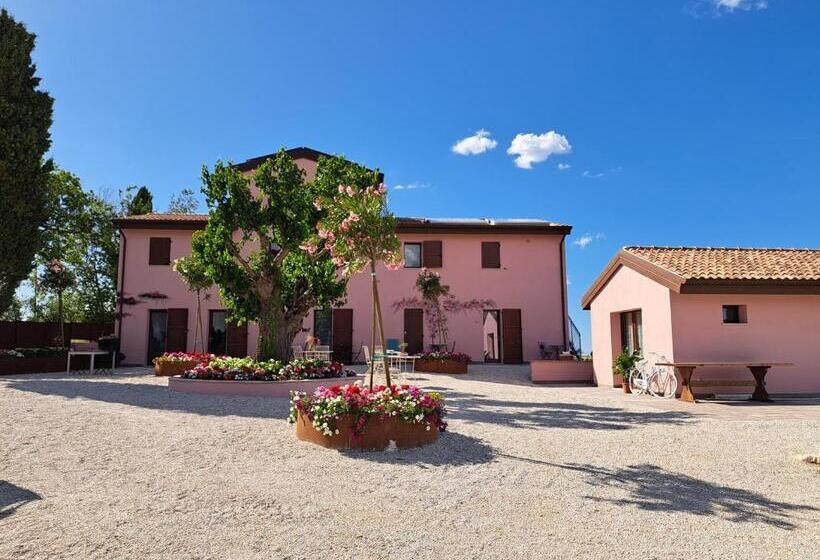 צימר Stelle Girasoli E Conchiglie