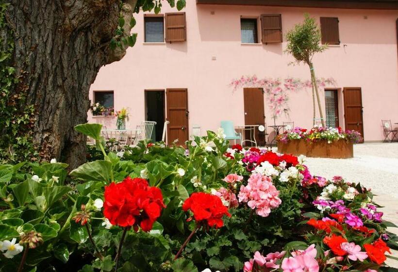 צימר Stelle Girasoli E Conchiglie