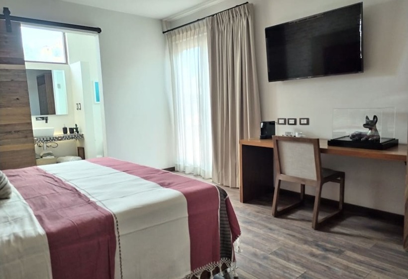 酒店 Casa Chanehque