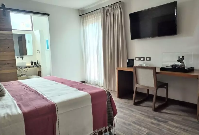 ホテル Casa Chanehque