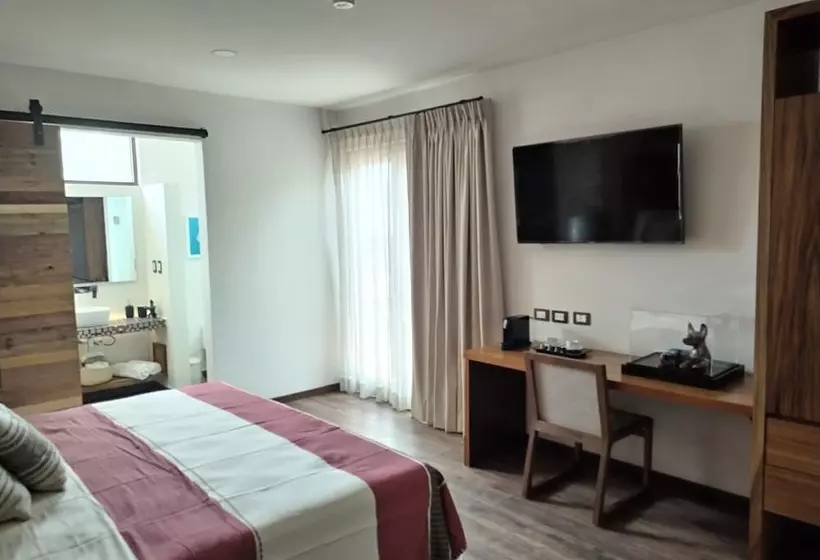 ホテル Casa Chanehque